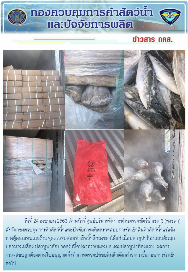 เจ้าหน้าที่ศูนย์บริหารจัดการด่านตรวจสัตว์น้ำเขต 3 (สงขลา) สังกัดกองควบคุมการค้าสัตว์น้ำและปัจจัยการผลิต ตรวจสอบการนำเข้าสินค้าสัตว์น้ำประเภทตู้คอนเทนเนอร์ ณ จุดตรวจปล่อยท่าเรือน้ำลึกสงขลา..คลิก