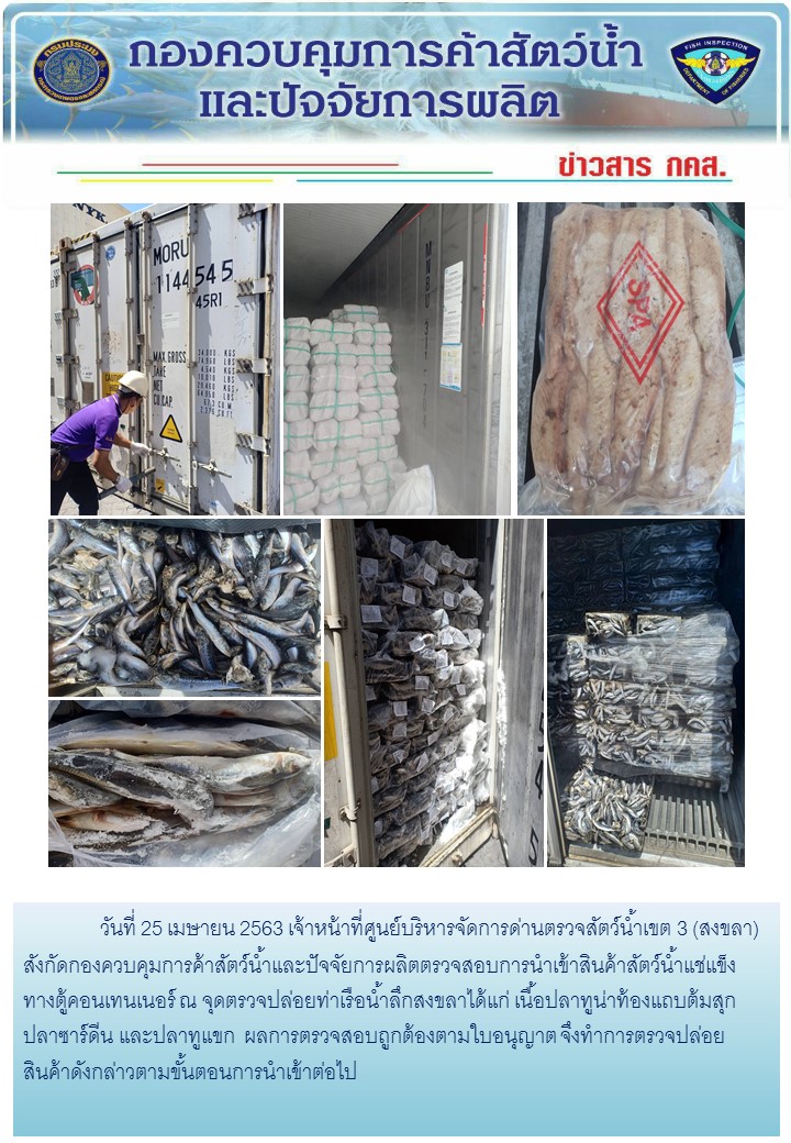 เจ้าหน้าที่ศูนย์บริหารจัดการด่านตรวจสัตว์น้ำเขต 3 (สงขลา) สังกัดกองควบคุมการค้าสัตว์น้ำและปัจจัยการผลิต ตรวจสอบการนำเข้าสินค้าสัตว์น้ำประเภทตู้คอนเทนเนอร์ ณ จุดตรวจปล่อยท่าเรือน้ำลึกสงขลา..คลิก