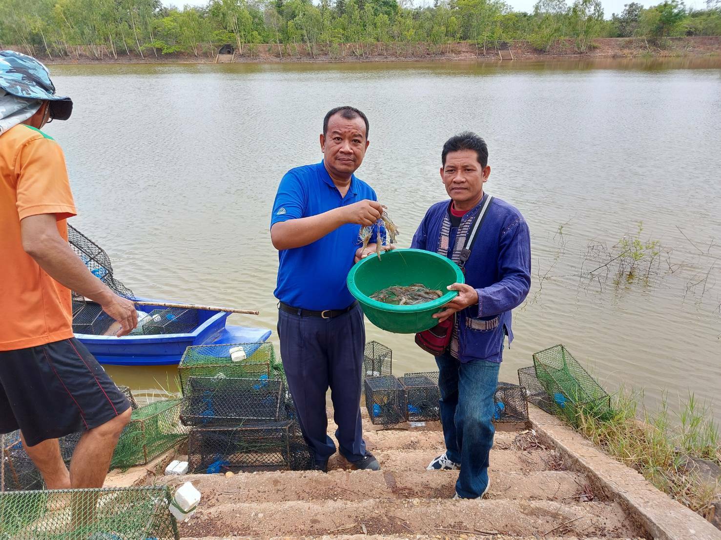 ร่วมประเมินการเจริญเติบโตของกุ้งก้ามกราม (สุ่มวัดความยาวและชั่งน้ำหนักกุ้งก้ามกรามรายเดือน)..คลิก