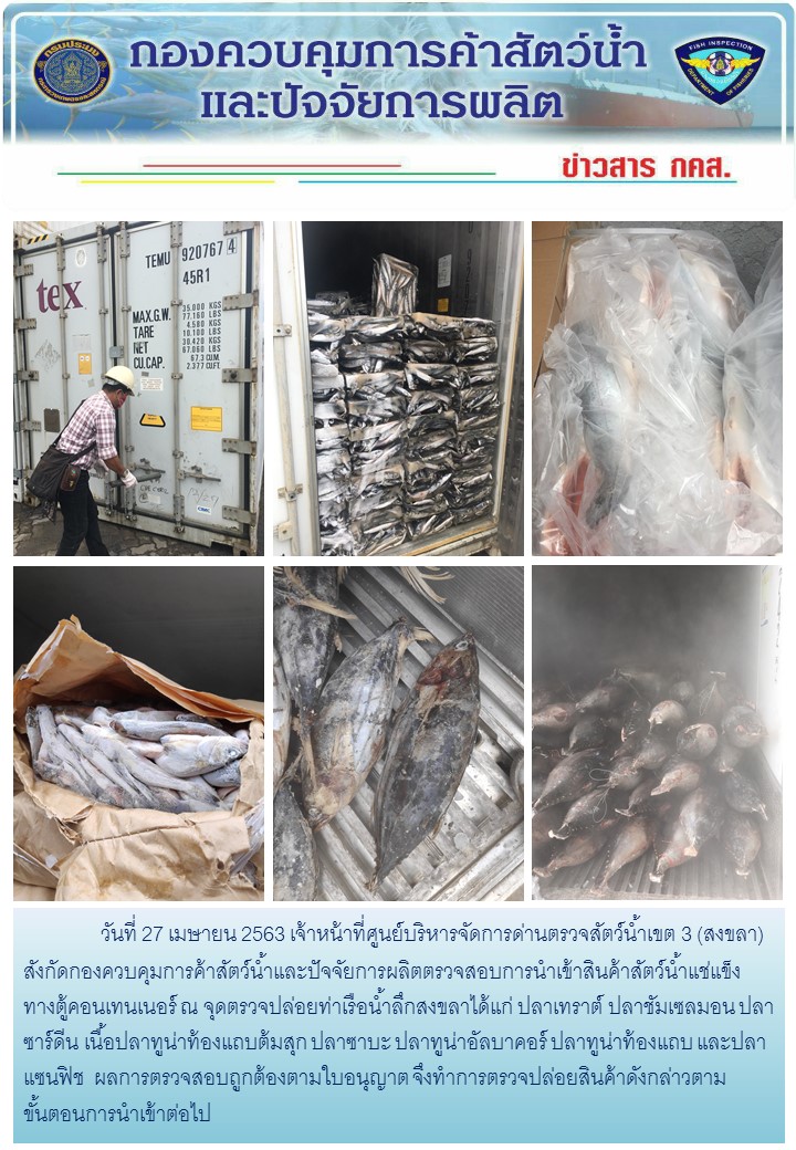 เจ้าหน้าที่ศูนย์บริหารจัดการด่านตรวจสัตว์น้ำเขต 3 (สงขลา) สังกัดกองควบคุมการค้าสัตว์น้ำและปัจจัยการผลิต ตรวจสอบการนำเข้าสินค้าสัตว์น้ำประเภทตู้คอนเทนเนอร์ ณ จุดตรวจปล่อยท่าเรือน้ำลึกสงขลา..คลิก