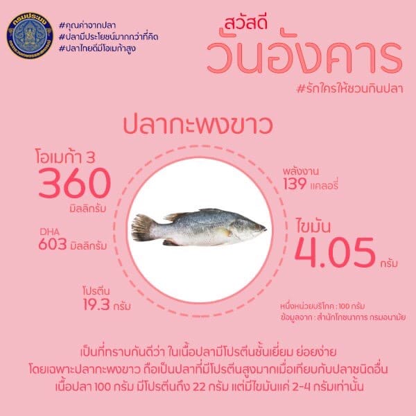 สวัสดีวันอังคาร #วันนี้คุณทานปลากะพงแล้วรึยัง..คลิก