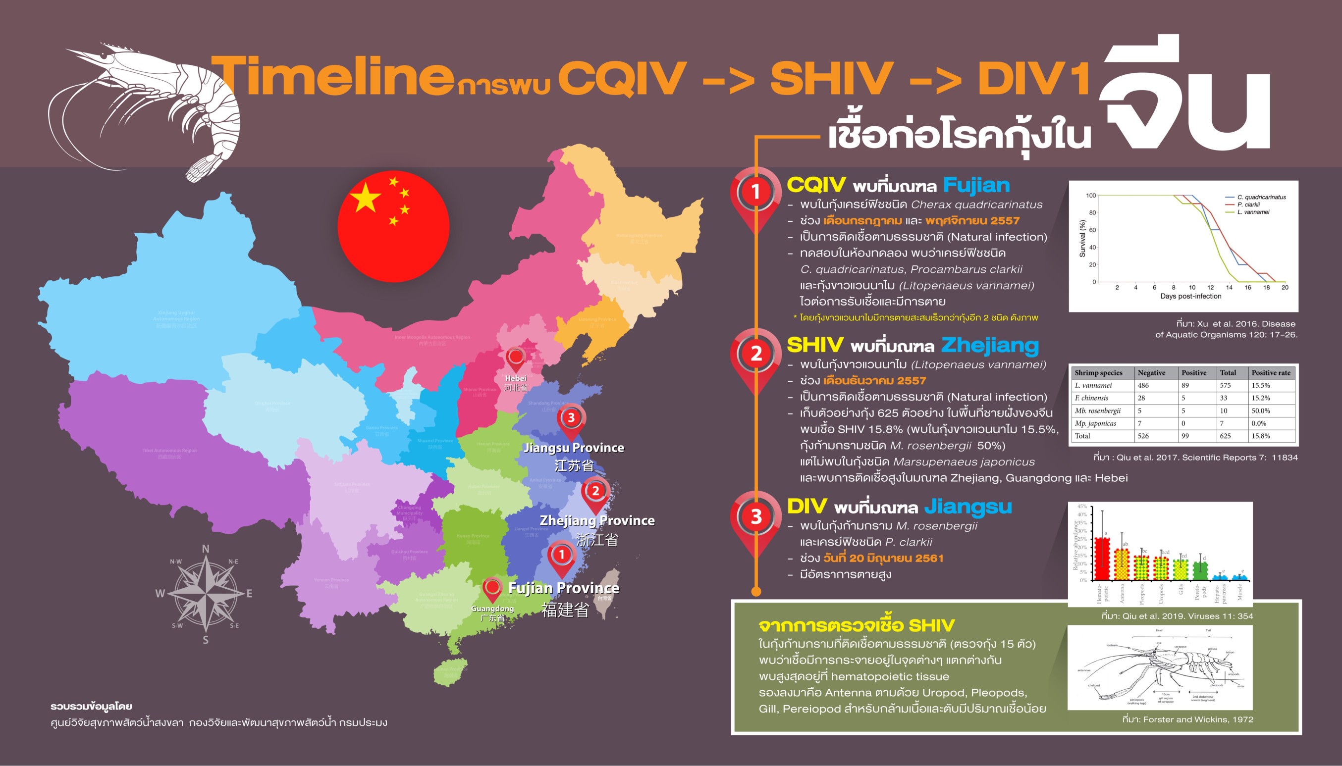 Timeline การพบ CQIV -> SHIV -DIV1 เชื้อก่อโรคกุ้งในจีน..คลิก