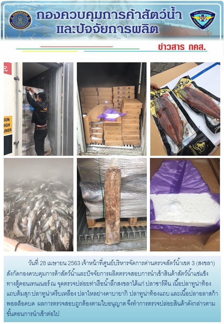 เจ้าหน้าที่ศูนย์บริหารจัดการด่านตรวจสัตว์น้ำเขต 3 (สงขลา) สังกัดกองควบคุมการค้าสัตว์น้ำและปัจจัยการผลิต ตรวจสอบการนำเข้าสินค้าสัตว์น้ำประเภทตู้คอนเทนเนอร์ ณ จุดตรวจปล่อยท่าเรือน้ำลึกสงขลา..คลิก
