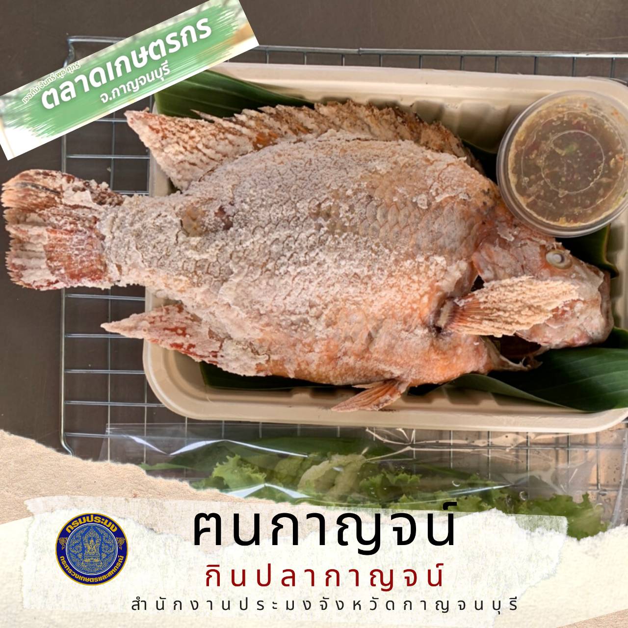 การออกร้านจำหน่ายสินค้าสัตว์น้ำของกลุ่มเกษตรกร ที่ได้รับผลกระทบจากสถานการณ์การระบาดของโรคติดเชื้อไวรัส Covid-19..คลิก