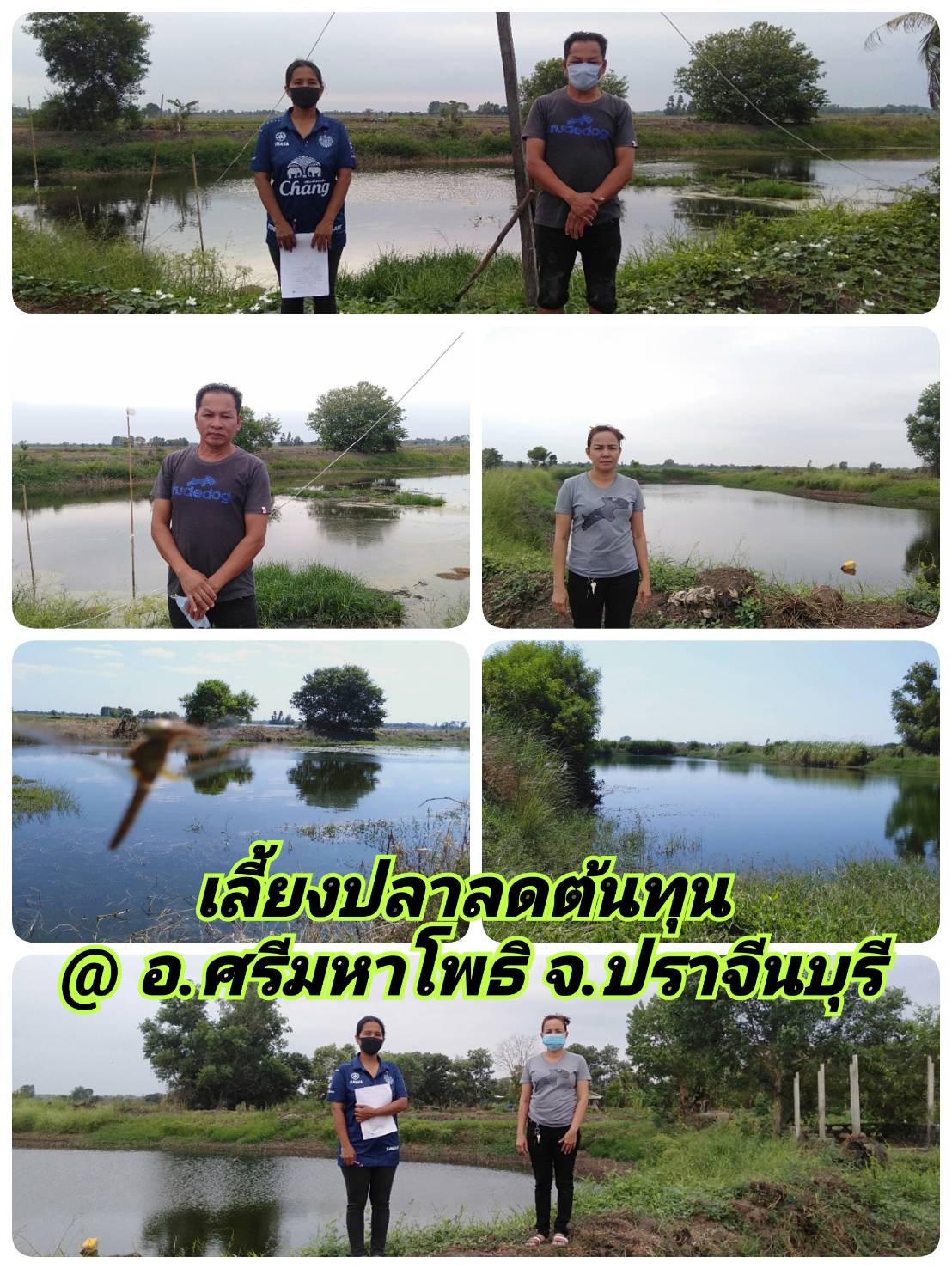 ลงพื้นที่ปฏิบัติงานโครงการปรับปรุงข้อมูลทะเบียนเกษตรกรผู้เพาะเลี้ยงสัตว์น้ำ