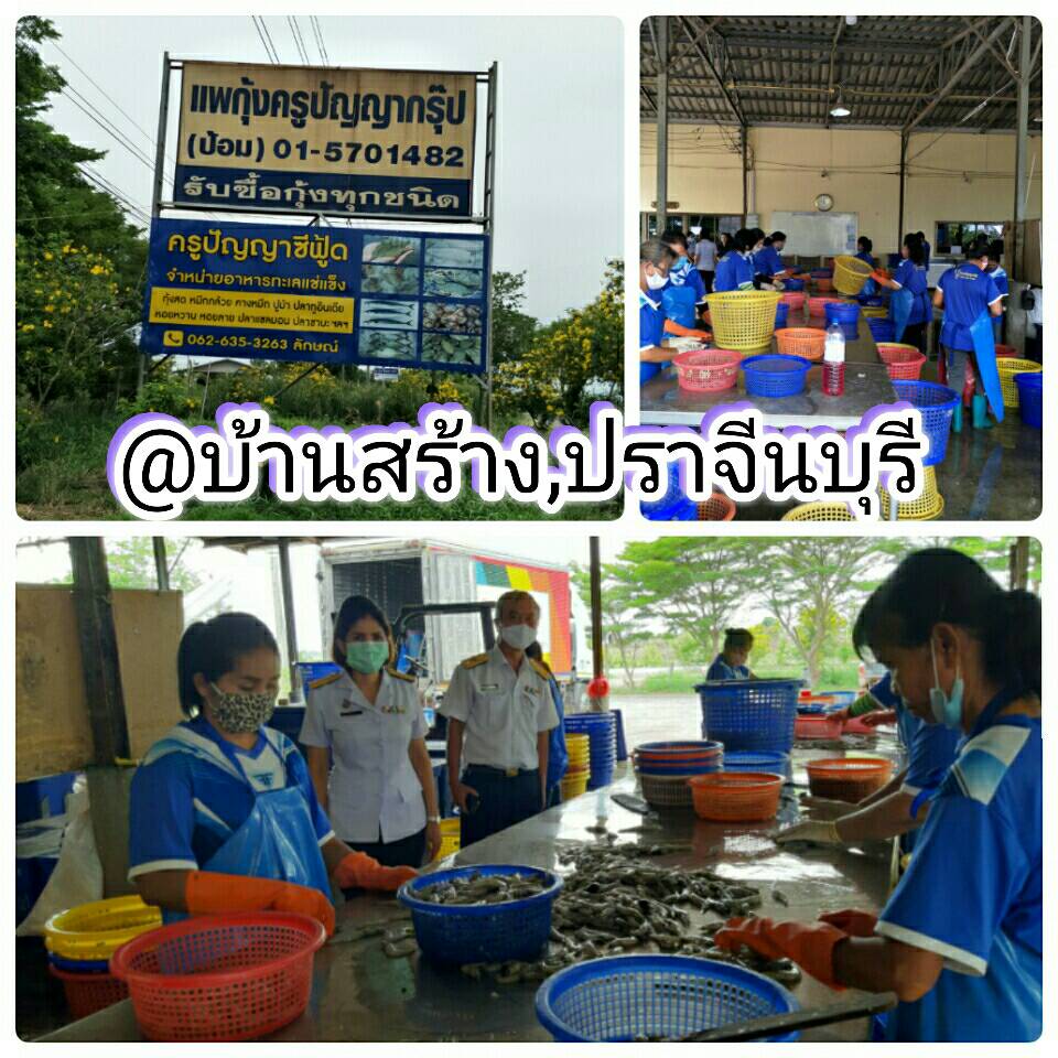ประมงจังหวัดปราจีนบุรีนำทีมเข้าติดตามการรับซื้อ-ขายสัตว์น้ำของแพ ผู้รวบรวม ผู้ขนส่ง และสร้างความเข้าใจการแก้ไขภัยแล้งของทางราชการ..คลิก