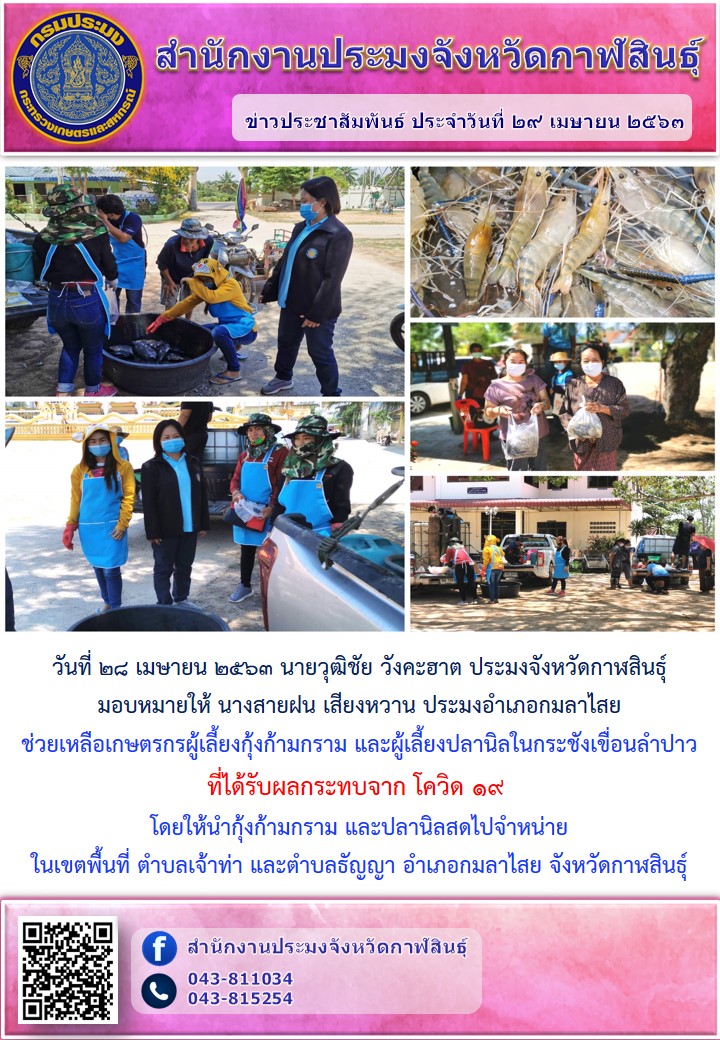 ช่วยเหลือเกษตรกรผู้เลี้ยงปลานิลกระชังและกุ้งก้ามกรามที่ได้รับผลกระทบจากโควิด-19..คลิก