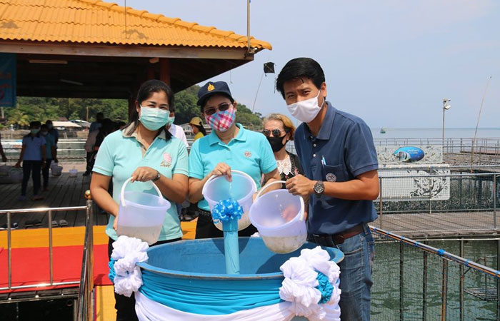 ศูนย์ฯ ร่วมปล่อยพันธุ์กุ้งกุลาดำ ลงสู่อ่าวคุ้งกระเบน เนื่องในโอกาสวันคล้ายวันประสูติสมเด็จพระเจ้าลูกยาเธอ เจ้าฟ้าทีปังกรรัศมีโชติ มหาวชิโรตตมางกูร สิริวิบูลยราชกุมาร