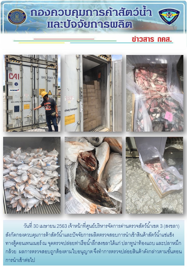 เจ้าหน้าที่ศูนย์บริหารจัดการด่านตรวจสัตว์น้ำเขต 3 (สงขลา) สังกัดกองควบคุมการค้าสัตว์น้ำและปัจจัยการผลิต ตรวจสอบการนำเข้าสินค้าสัตว์น้ำประเภทตู้คอนเทนเนอร์ ณ จุดตรวจปล่อยท่าเรือน้ำลึกสงขลา..คลิก