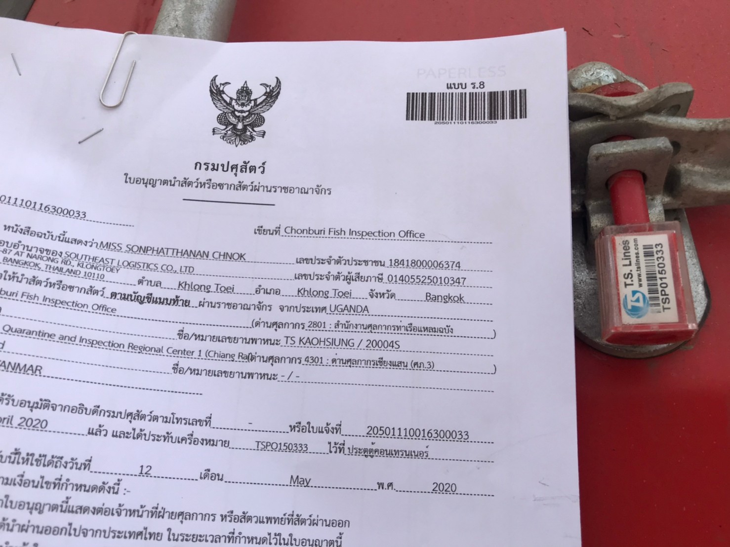 ตรวจสอบสินค้ากระเพาะปลาตากแห้ง (สินค้านำผ่าน)..คลิก