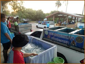 ข่าวกิจกรรม ฉบับที่ ๒๔/๒๕๖๓..คลิก