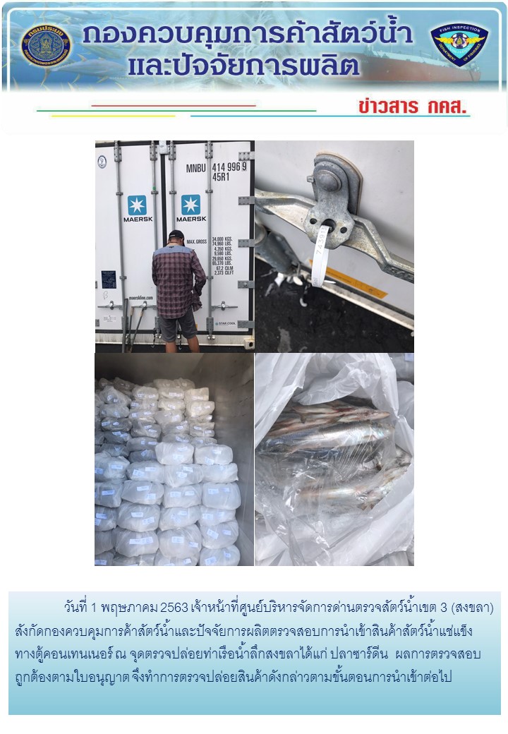 เจ้าหน้าที่ศูนย์บริหารจัดการด่านตรวจสัตว์น้ำเขต 3 (สงขลา) สังกัดกองควบคุมการค้าสัตว์น้ำและปัจจัยการผลิต ตรวจสอบการนำเข้าสินค้าสัตว์น้ำประเภทตู้คอนเทนเนอร์ ณ จุดตรวจปล่อยท่าเรือน้ำลึกสงขลา..คลิก