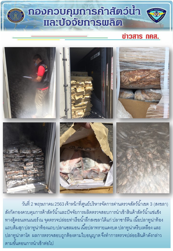 เจ้าหน้าที่ศูนย์บริหารจัดการด่านตรวจสัตว์น้ำเขต 3 (สงขลา) สังกัดกองควบคุมการค้าสัตว์น้ำและปัจจัยการผลิต ตรวจสอบการนำเข้าสินค้าสัตว์น้ำประเภทตู้คอนเทนเนอร์ ณ จุดตรวจปล่อยท่าเรือน้ำลึกสงขลา..คลิก