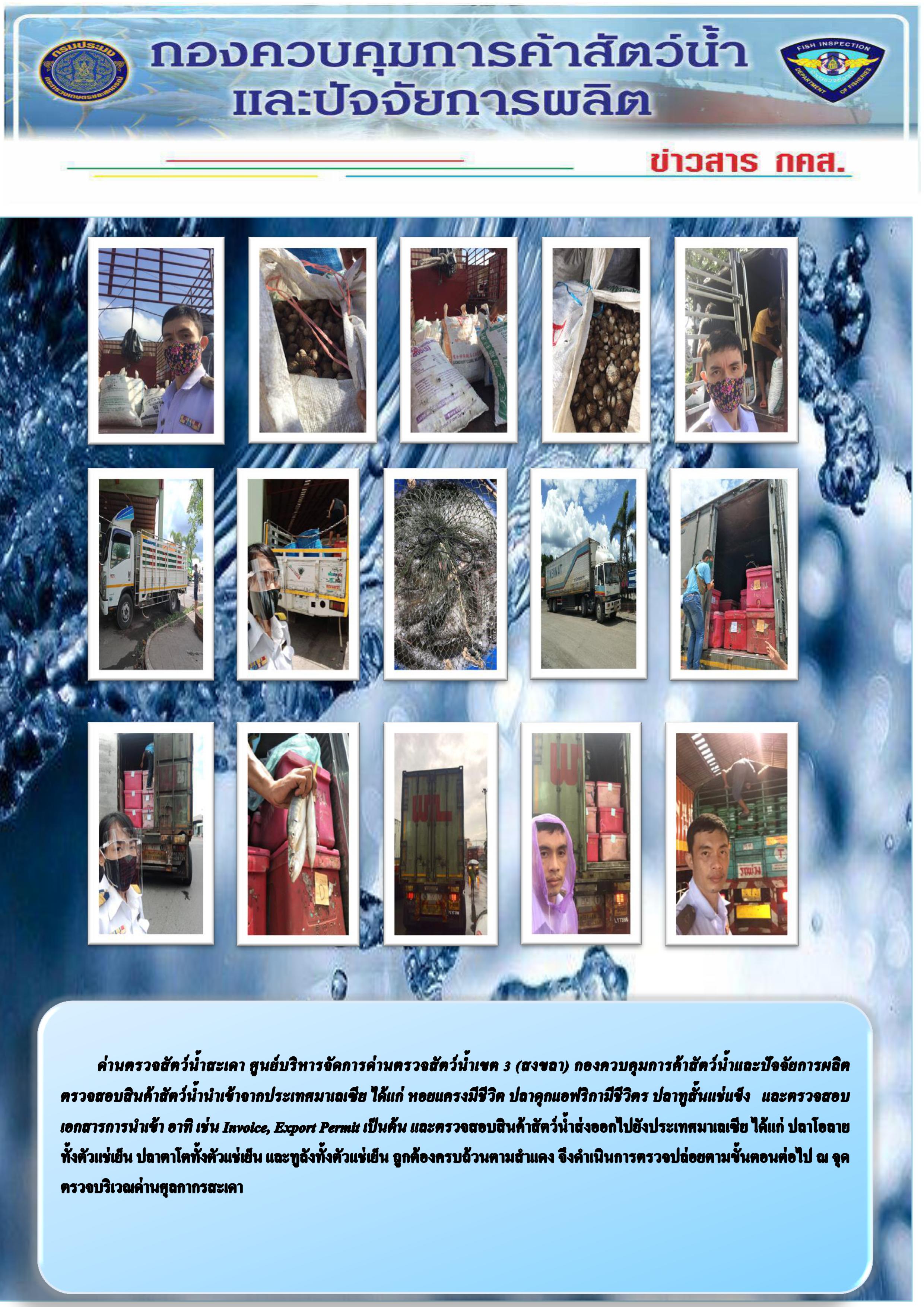 ข่าวสาร กคส. ประจำวันอาทิตย์ที่ 3 พฤษภาคม 2563..คลิก