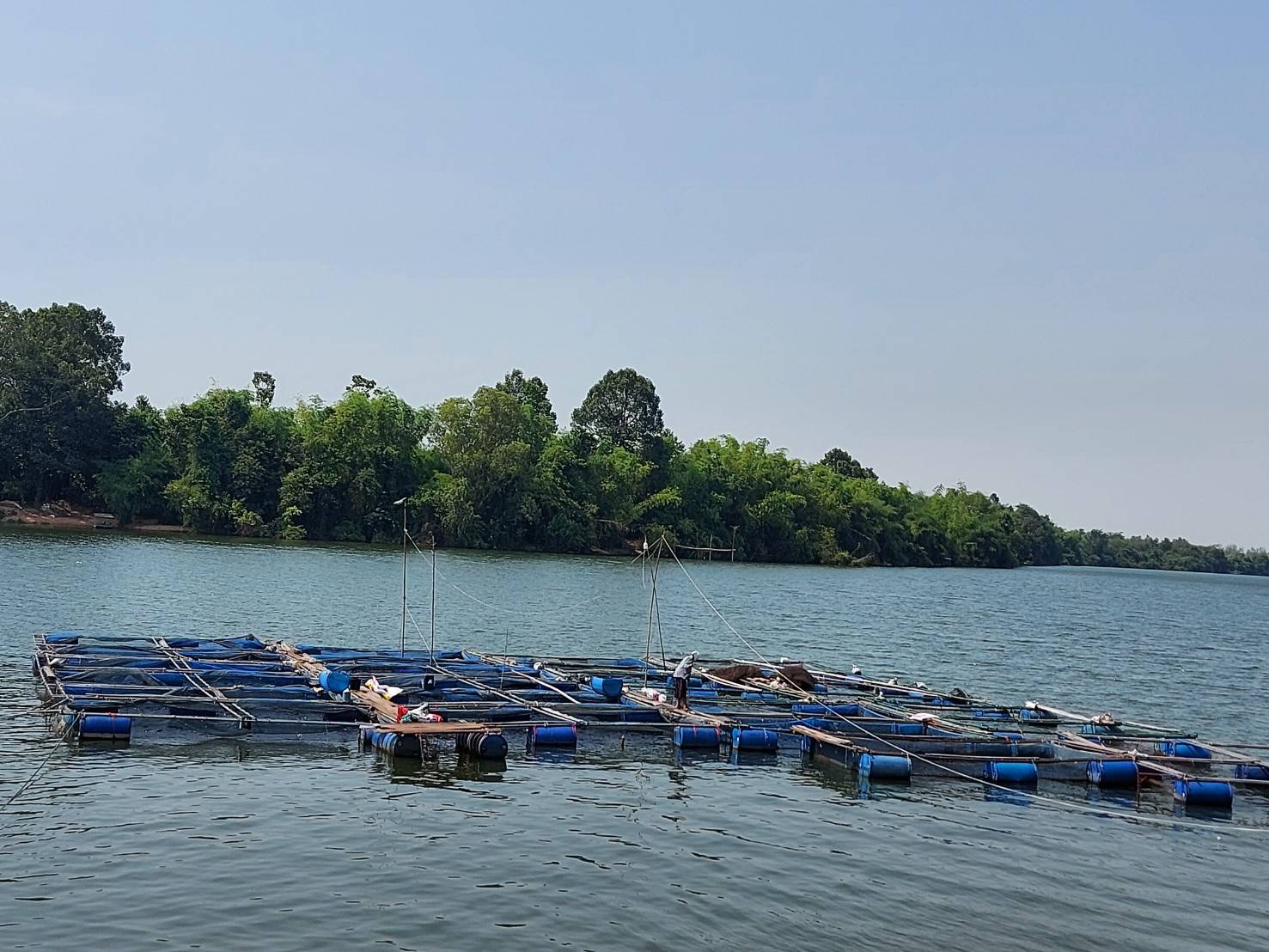 ประมงพิบูลมังสาหาร ออกชี้แจงการยื่นรับคำขอใบอนุญาตให้ทำการเพาะเลี้ยงในที่จับสัตว์น้ำซึ่งเป็นสาธารณสมบัติของแผ่นดิน บ้านชาด ต.ทรายมูล อ.พิบูลมังสาหาร จ.อุบลราชธา..คลิก