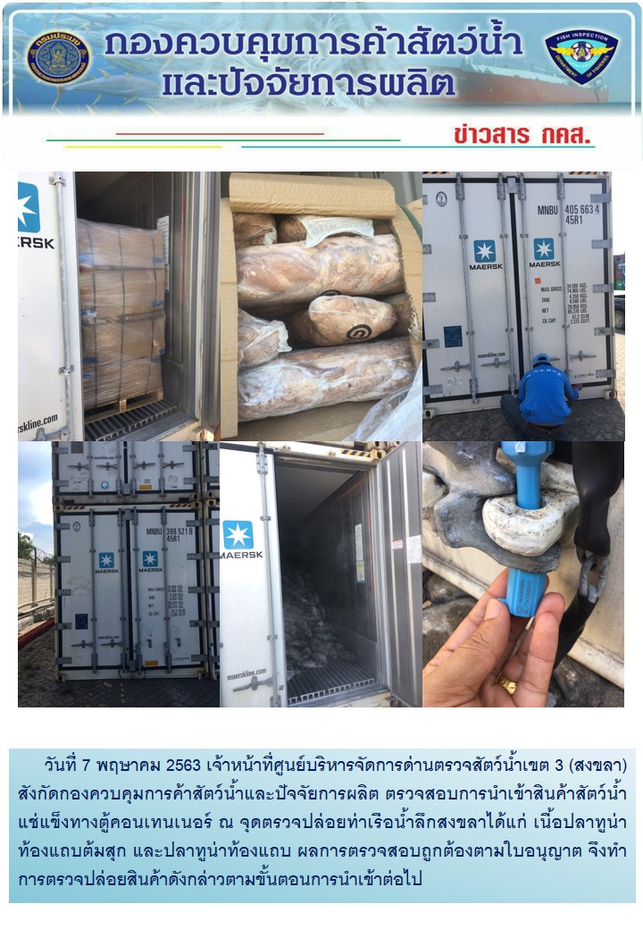 เจ้าหน้าที่ศูนย์บริหารจัดการด่านตรวจสัตว์น้ำเขต 3 (สงขลา) สังกัดกองควบคุมการค้าสัตว์น้ำและปัจจัยการผลิต ตรวจสอบการนำเข้าสินค้าสัตว์น้ำอายัดประเภทตู้คอนเทนเนอร์ ณ จุดตรวจปล่อยท่าเรือน้ำลึกสงขลา..คลิก