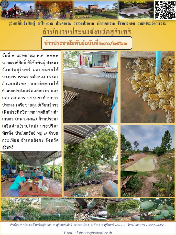ข่าวประชาสัมพันธ์ 290/2563