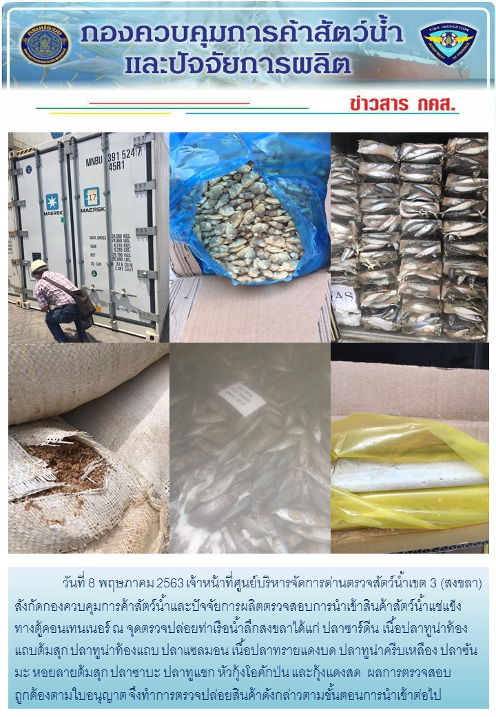 เจ้าหน้าที่ศูนย์บริหารจัดการด่านตรวจสัตว์น้ำเขต 3 (สงขลา) สังกัดกองควบคุมการค้าสัตว์น้ำและปัจจัยการผลิต ตรวจสอบการนำเข้าสินค้าสัตว์น้ำประเภทตู้คอนเทนเนอร์ ณ จุดตรวจปล่อยท่าเรือน้ำลึกสงขลา..คลิก