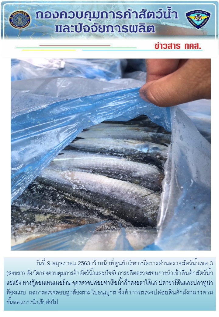 เจ้าหน้าที่ศูนย์บริหารจัดการด่านตรวจสัตว์น้ำเขต 3 (สงขลา) สังกัดกองควบคุมการค้าสัตว์น้ำและปัจจัยการผลิต ตรวจสอบการนำเข้าสินค้าสัตว์น้ำประเภทตู้คอนเทนเนอร์ ณ จุดตรวจปล่อยท่าเรือน้ำลึกสงขลา..คลิก