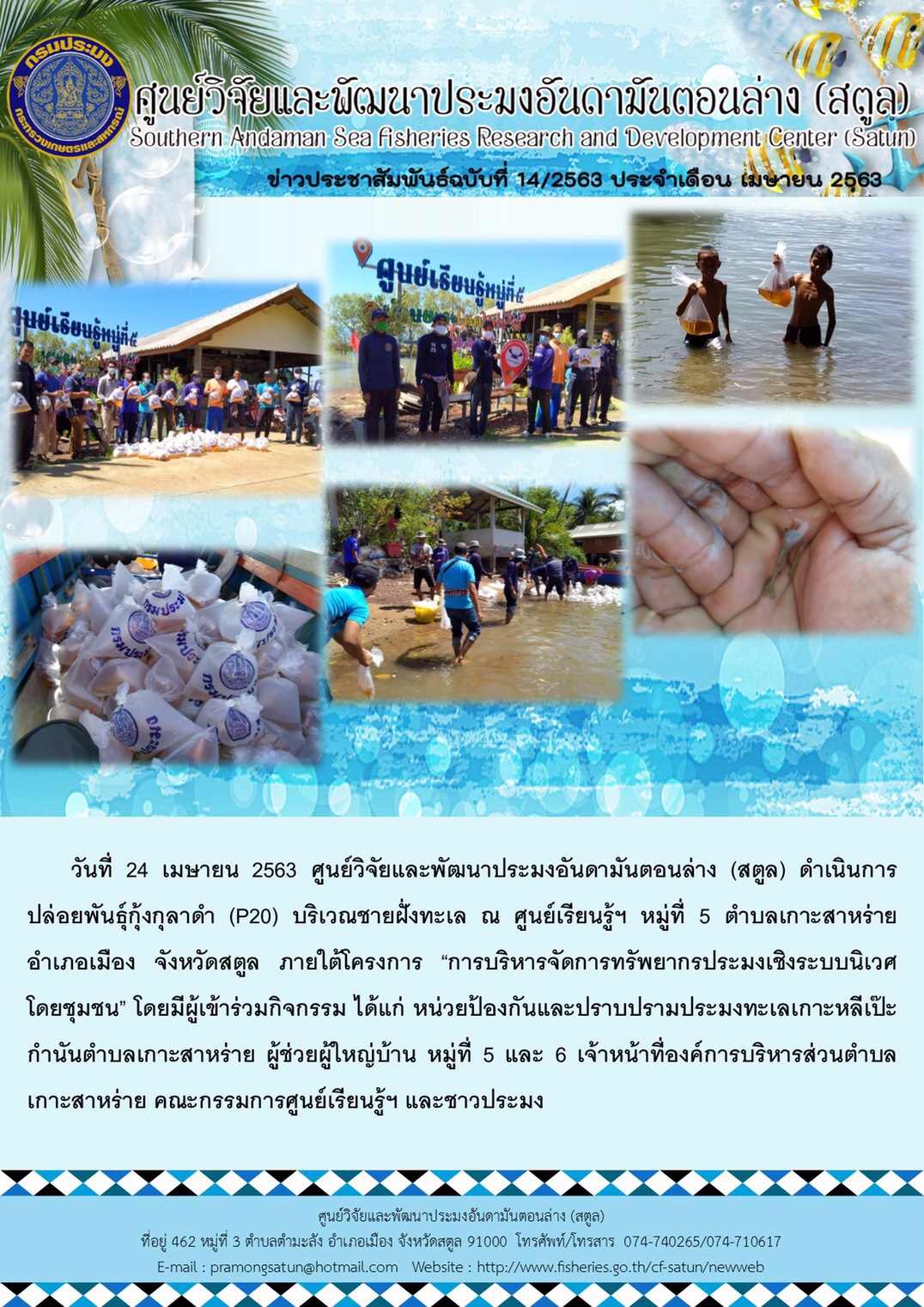 ศพม.สตูล ปล่อยพันธุ์กุ้งกุลาดำ P20 ภายใต้โครงการการบริหารจัดการทรัพยากรประมงเชิงระบบนิเวศโดยชุมชน (EAFM)