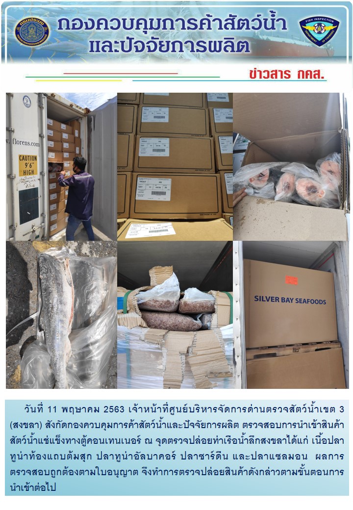 เจ้าหน้าที่ศูนย์บริหารจัดการด่านตรวจสัตว์น้ำเขต 3 (สงขลา) สังกัดกองควบคุมการค้าสัตว์น้ำและปัจจัยการผลิต ตรวจสอบการนำเข้าสินค้าสัตว์น้ำประเภทตู้คอนเทนเนอร์ ณ จุดตรวจปล่อยท่าเรือน้ำลึกสงขลา..คลิก