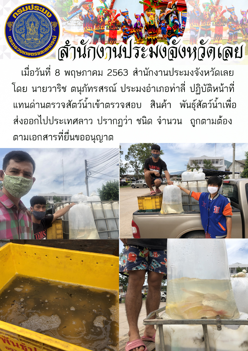 ปฏิบัติหน้าที่แทนด่านตรวจสัตว์น้ำเข้าตรวจสอบ สินค้า พันธุ์สัตว์น้ำ..คลิก