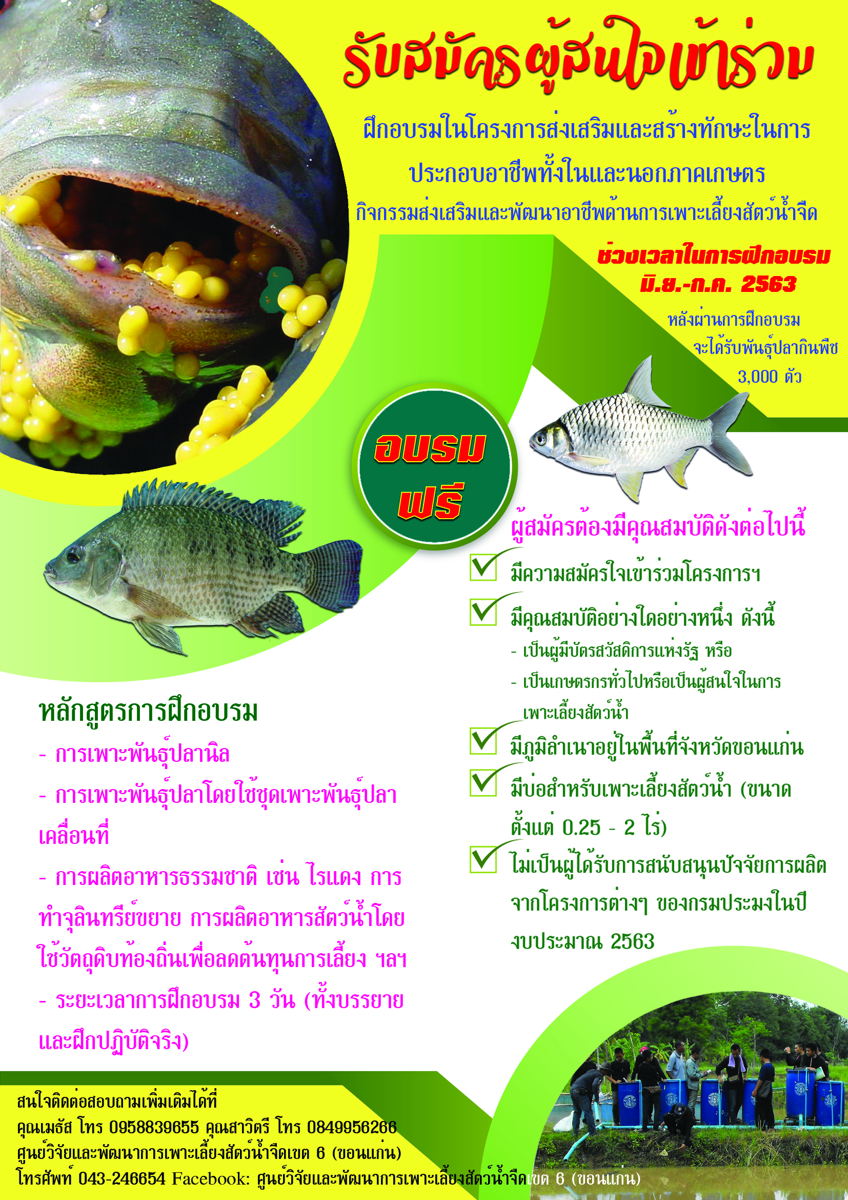 โครงการส่งเสริมและสร้างทักษะการประกอบอาชีพทั้งในและนอกภาคเกษตร