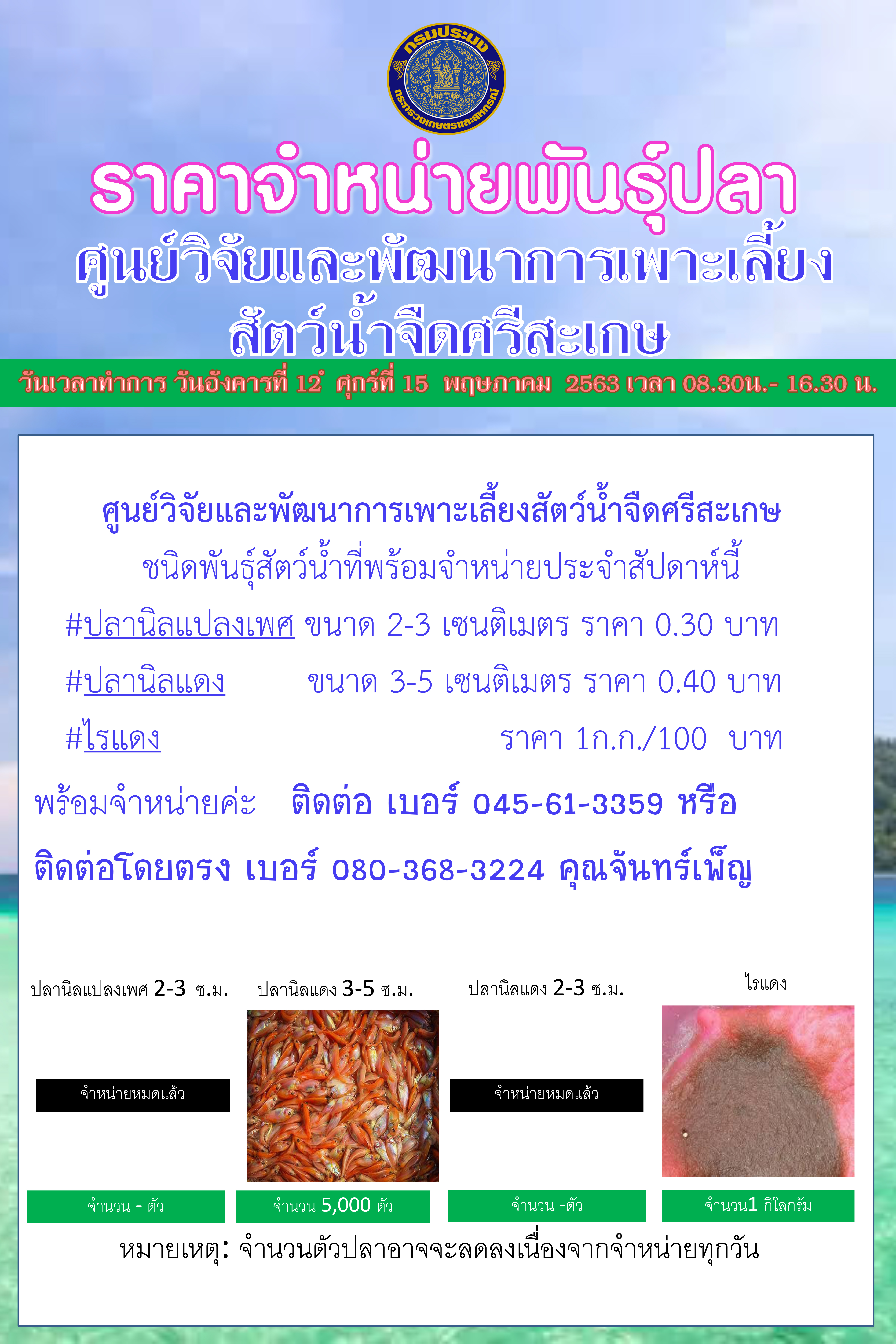 ราคาจำหน่ายพันธุ์ปลาสัปดาห์นี้ อังคารที่ 12-ศุกร์ที่ 15 พฤษภาคม 2563..คลิก