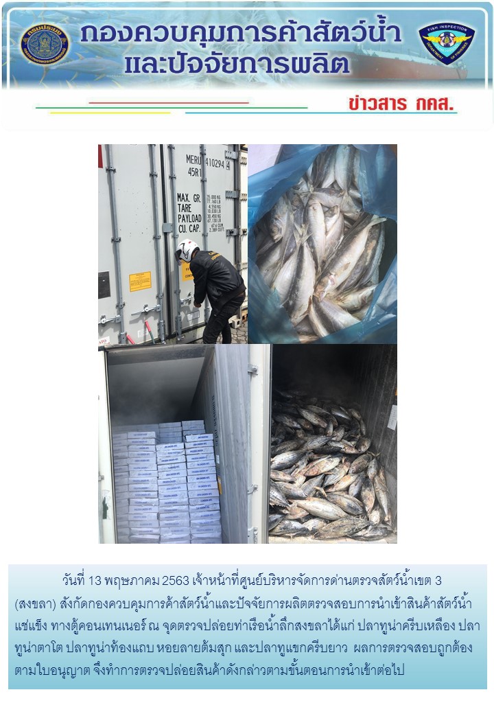 เจ้าหน้าที่ศูนย์บริหารจัดการด่านตรวจสัตว์น้ำเขต 3 (สงขลา) สังกัดกองควบคุมการค้าสัตว์น้ำและปัจจัยการผลิต ตรวจสอบการนำเข้าสินค้าสัตว์น้ำประเภทตู้คอนเทนเนอร์ ณ จุดตรวจปล่อยท่าเรือน้ำลึกสงขลา..คลิก