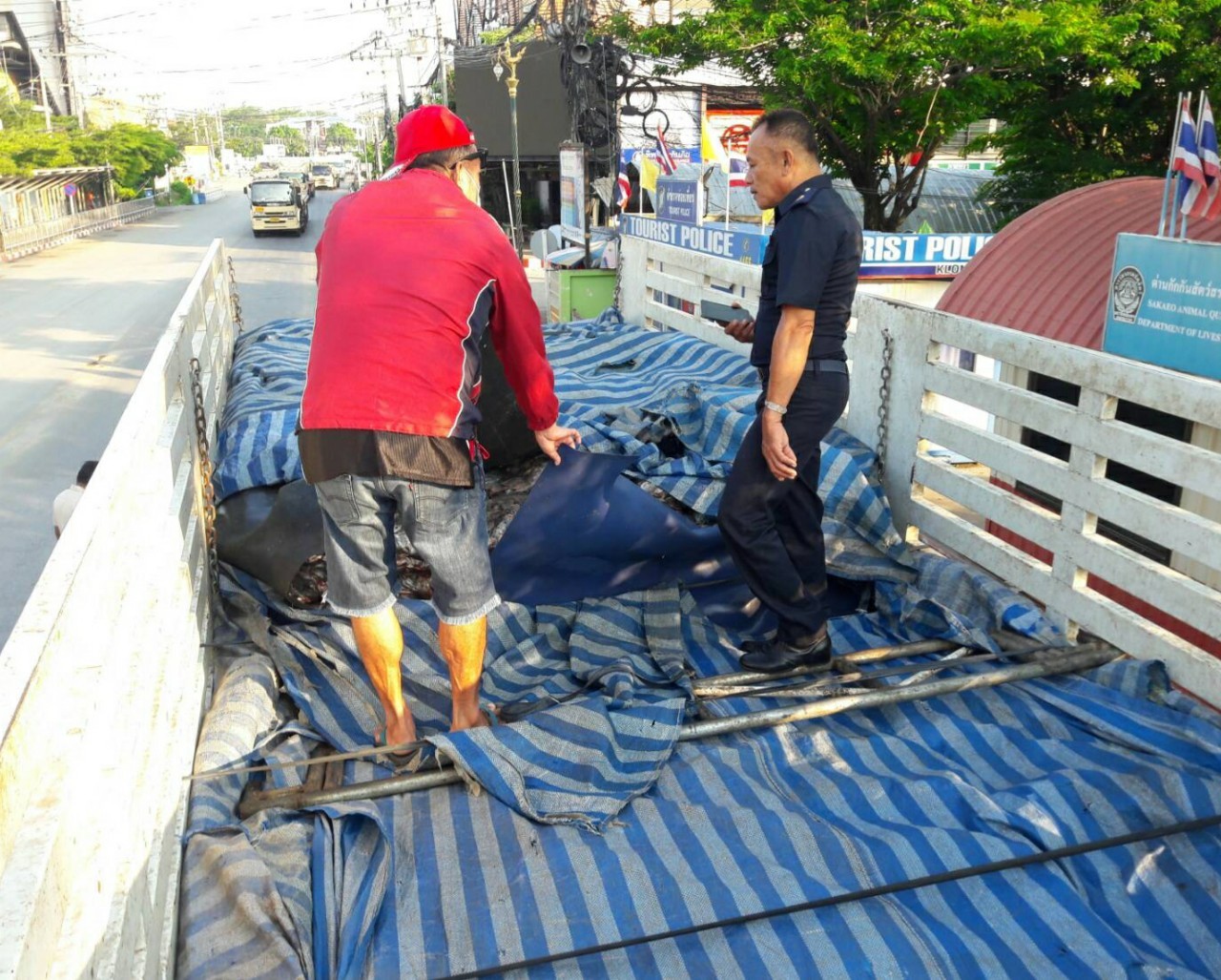 ตรวจสินค้าประมงที่นำเข้า ส่งออก ทางด่านพรมแดนถาวรคลองลึก..คลิก