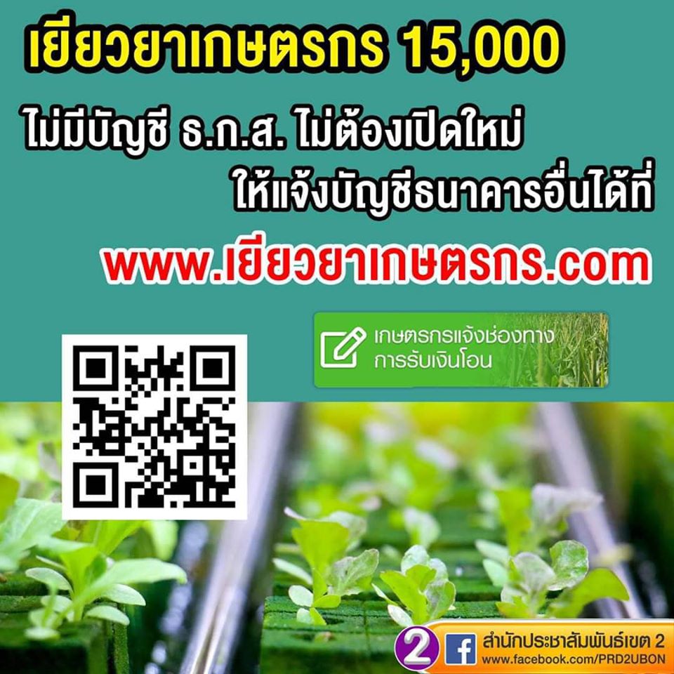 ธ.ก.ส.เปิดเว็บไซต์ www.เยียวยาเกษตรกร .com..คลิก