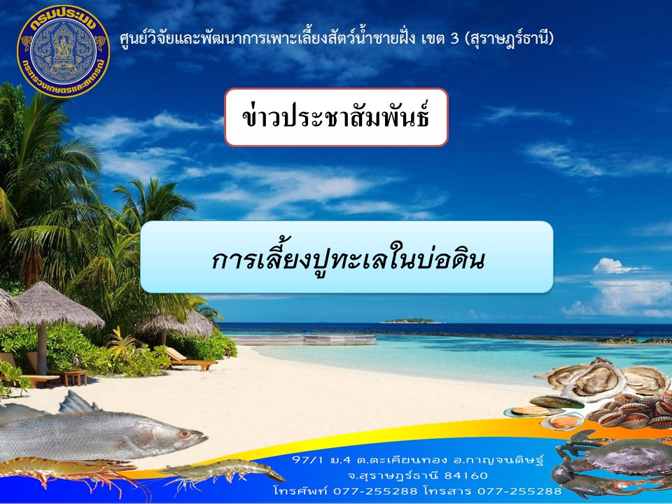 การเลี้ยงปูทะเลในบ่อดิน