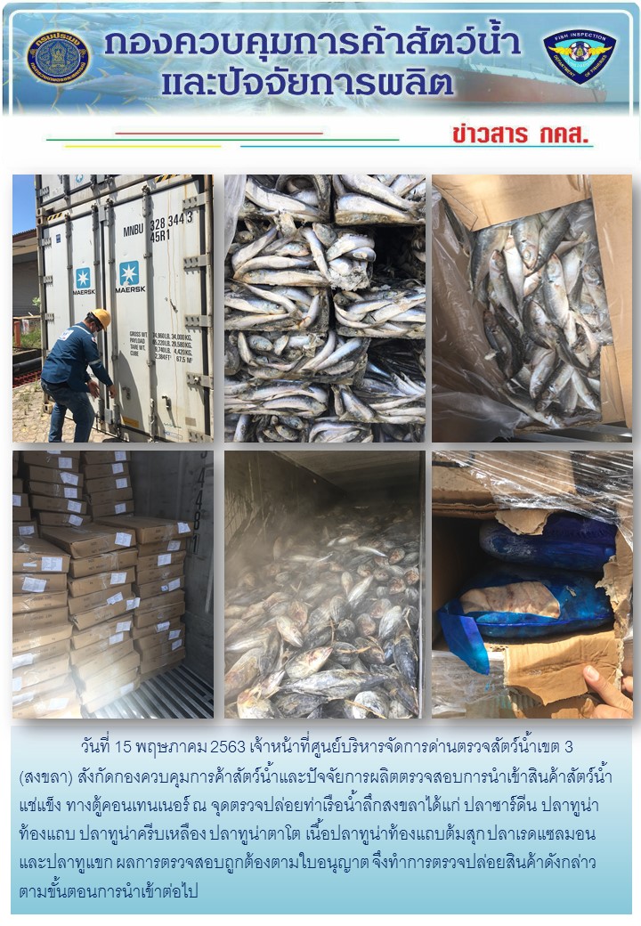 เจ้าหน้าที่ศูนย์บริหารจัดการด่านตรวจสัตว์น้ำเขต 3 (สงขลา) สังกัดกองควบคุมการค้าสัตว์น้ำและปัจจัยการผลิต ตรวจสอบการนำเข้าสินค้าสัตว์น้ำประเภทตู้คอนเทนเนอร์ ณ จุดตรวจปล่อยท่าเรือน้ำลึกสงขลา..คลิก