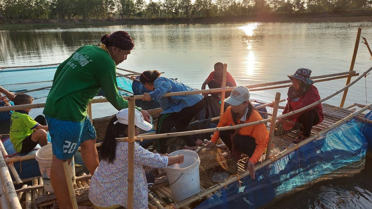 ปล่อยพันธุ์ปลาโครงการธนาคารสินค้าเกษตร (กิจกรรมสนับสนุนธนาคารผลผลิตสัตว์น้ำแบบมีส่วนร่วม) แหล่งน้ำหนองคู..คลิก
