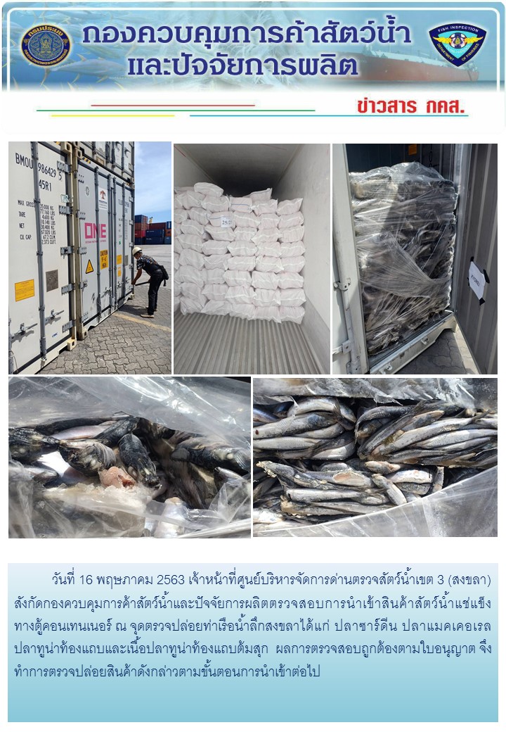 เจ้าหน้าที่ศูนย์บริหารจัดการด่านตรวจสัตว์น้ำเขต 3 (สงขลา) สังกัดกองควบคุมการค้าสัตว์น้ำและปัจจัยการผลิต ตรวจสอบการนำเข้าสินค้าสัตว์น้ำประเภทตู้คอนเทนเนอร์ ณ จุดตรวจปล่อยท่าเรือน้ำลึกสงขลา..คลิก
