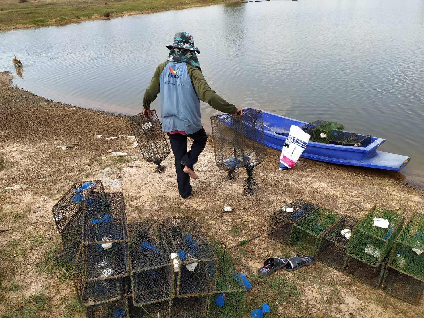 ร่วมประเมินการเจริญเติบโตของกุ้งก้ามกราม (สุ่มวัดความยาวและชั่งน้ำหนักกุ้งก้ามกราม   รายเดือน)