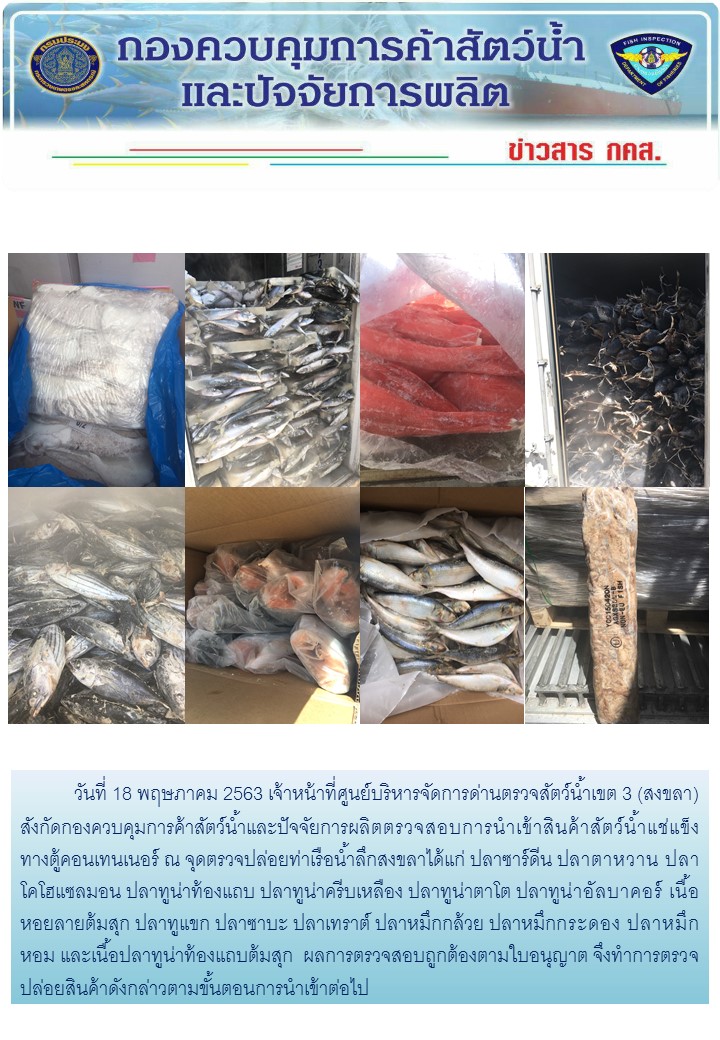 เจ้าหน้าที่ศูนย์บริหารจัดการด่านตรวจสัตว์น้ำเขต 3 (สงขลา) สังกัดกองควบคุมการค้าสัตว์น้ำและปัจจัยการผลิต ตรวจสอบการนำเข้าสินค้าสัตว์น้ำประเภทตู้คอนเทนเนอร์ ณ จุดตรวจปล่อยท่าเรือน้ำลึกสงขลา..คลิก