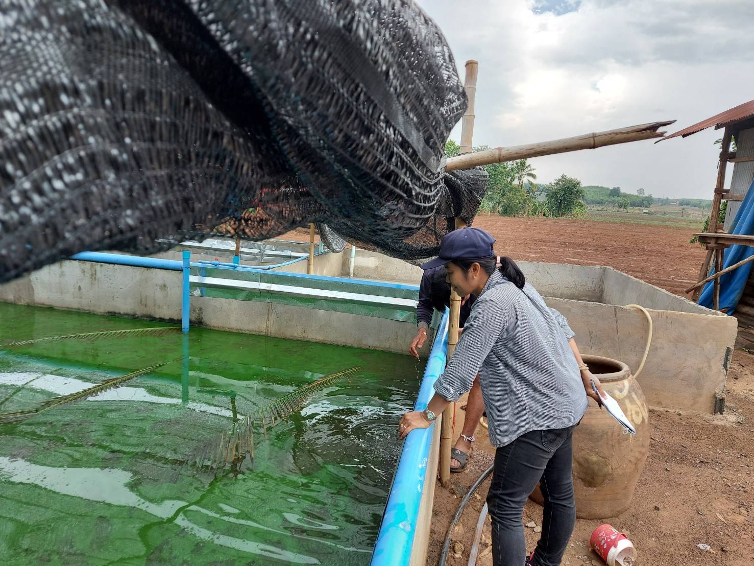 ประมงอำเภอน้ำยืน ลงพื้นที่ตรวจสอบฟาร์มเกษตรกรที่ยื่นคำขอขึ้นทะเบียนเกษตรกรผู้เพาะเลี้ยงสัตว์น้ำ ( ฟาร์มเลี้ยงตะพาบน้ำ) ในพื้นที่ อำเภอน้ำยืน จังหวัดอุบลราชธานี..คลิก