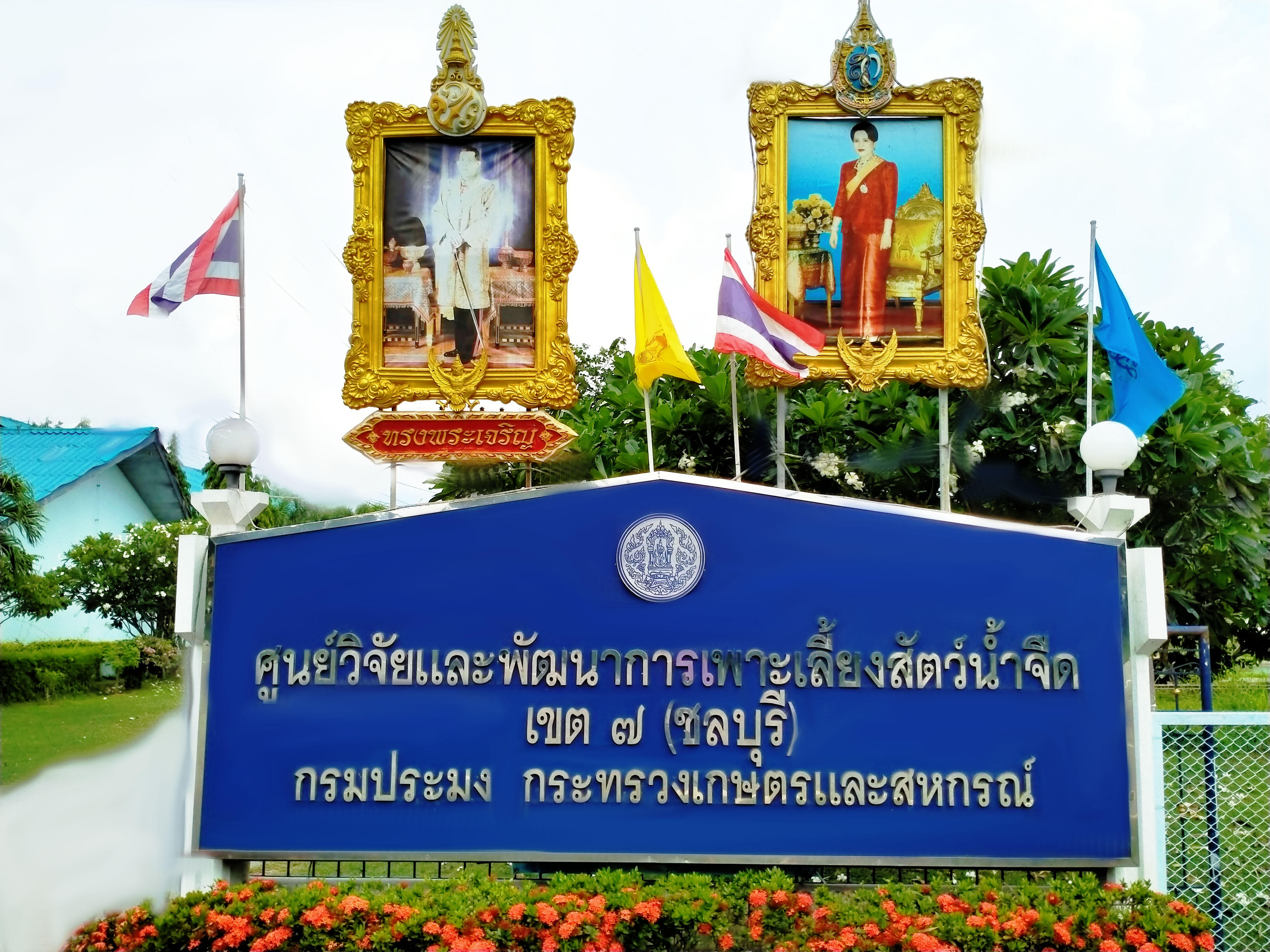 วีดีโอเเนะนำศูนย์ฯ