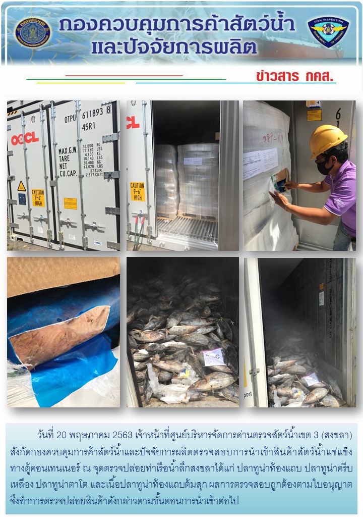 เจ้าหน้าที่ศูนย์บริหารจัดการด่านตรวจสัตว์น้ำเขต 3 (สงขลา) สังกัดกองควบคุมการค้าสัตว์น้ำและปัจจัยการผลิต ตรวจสอบการนำเข้าสินค้าสัตว์น้ำประเภทตู้คอนเทนเนอร์ ณ จุดตรวจปล่อยท่าเรือน้ำลึกสงขลา..คลิก