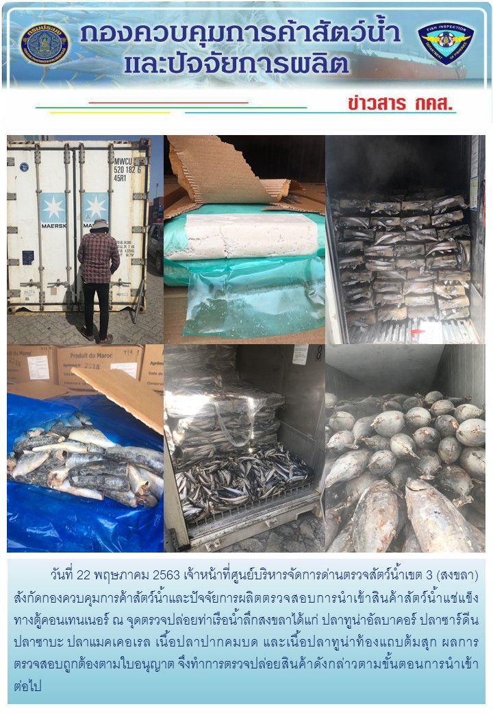 เจ้าหน้าที่ศูนย์บริหารจัดการด่านตรวจสัตว์น้ำเขต 3 (สงขลา) สังกัดกองควบคุมการค้าสัตว์น้ำและปัจจัยการผลิต ตรวจสอบการนำเข้าสินค้าสัตว์น้ำประเภทตู้คอนเทนเนอร์ ณ จุดตรวจปล่อยท่าเรือน้ำลึกสงขลา..คลิก