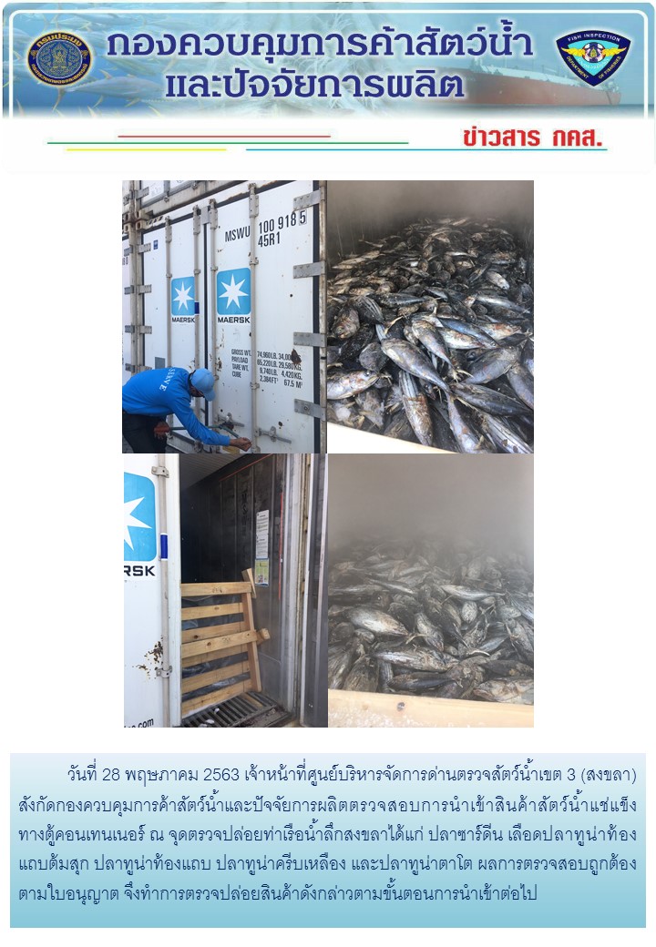 เจ้าหน้าที่ศูนย์บริหารจัดการด่านตรวจสัตว์น้ำเขต 3 (สงขลา) สังกัดกองควบคุมการค้าสัตว์น้ำและปัจจัยการผลิต ตรวจสอบการนำเข้าสินค้าสัตว์น้ำประเภทตู้คอนเทนเนอร์ ณ จุดตรวจปล่อยท่าเรือน้ำลึกสงขลา..คลิก