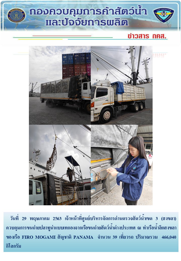 เจ้าหน้าที่ศูนย์บริหารจัดการด่านตรวจสัตว์น้ำเขต 3 (สงขลา) สังกัดกองควบคุมการค้าสัตว์น้ำและปัจจัยการผลิต ควบคุมการขนถ่ายปลาทูน่าแบบเทกองจากเรือขนถ่ายสัตว์น้ำต่างประเทศ ณ จุดตรวจปล่อยท่าเรือน้ำลึกสงขลา..คลิก