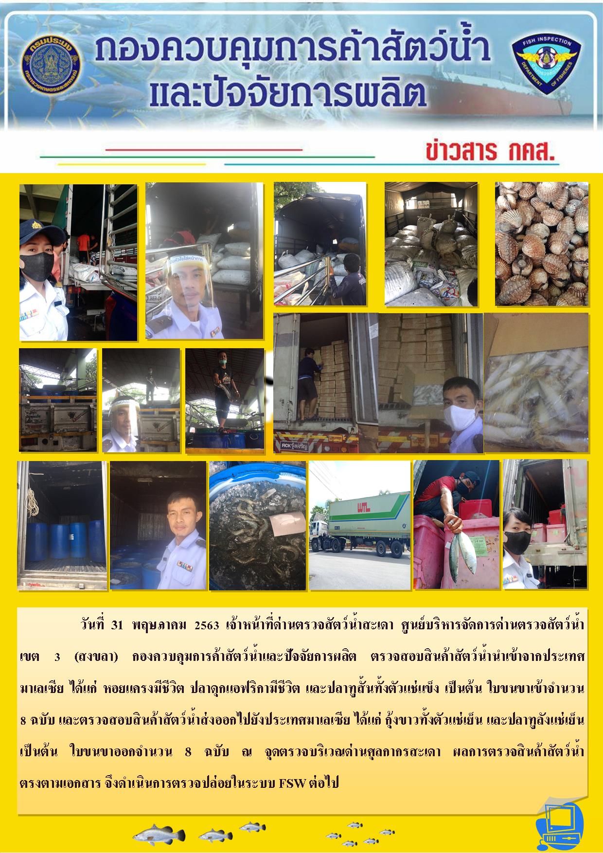 ข่าวสาร กคส. ประจำวันอาทิตย์ที่ 31 พฤษภาคม 2563..คลิก
