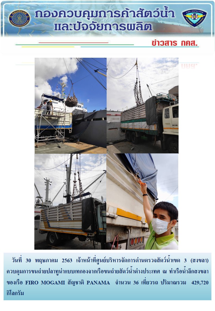 เจ้าหน้าที่ศูนย์บริหารจัดการด่านตรวจสัตว์น้ำเขต 3 (สงขลา) สังกัดกองควบคุมการค้าสัตว์น้ำและปัจจัยการผลิต ควบคุมการขนถ่ายปลาทูน่าแบบเทกองจากเรือขนถ่ายสัตว์น้ำต่างประเทศ ณ จุดตรวจปล่อยท่าเรือน้ำลึกสงขลา..คลิก