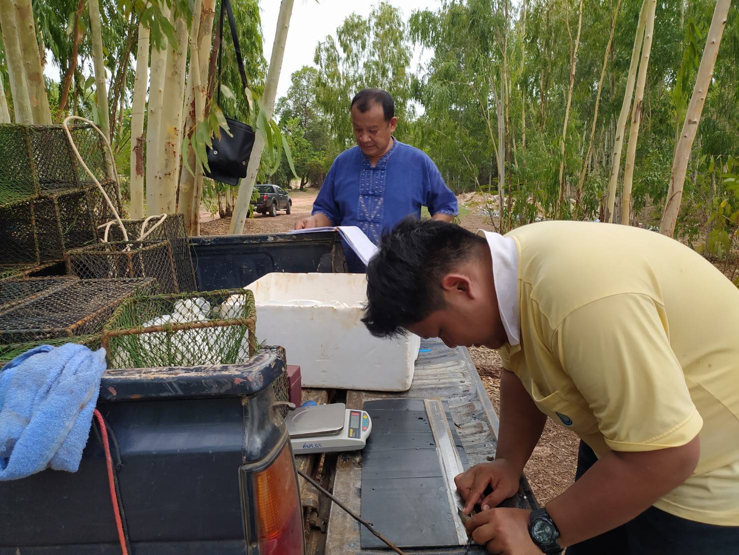 ร่วมประเมินการเจริญเติบโตของกุ้งก้ามกราม (สุ่มวัดความยาวและน้ำหนักกุ้งกรามรายเดือน)