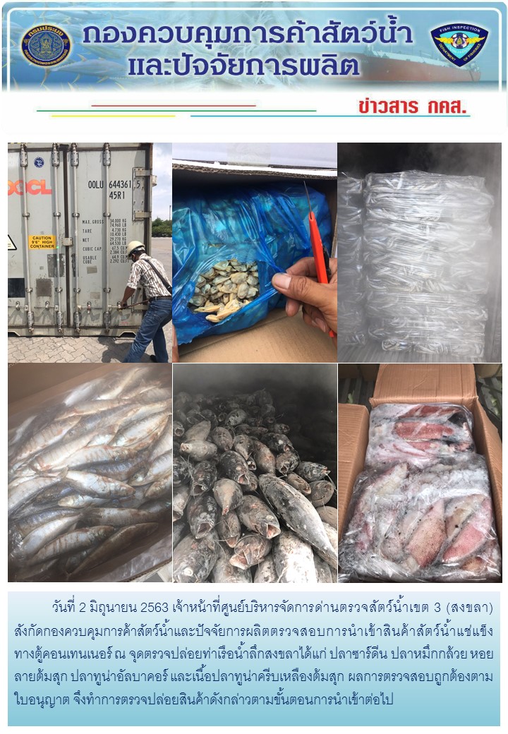 เจ้าหน้าที่ศูนย์บริหารจัดการด่านตรวจสัตว์น้ำเขต 3 (สงขลา) สังกัดกองควบคุมการค้าสัตว์น้ำและปัจจัยการผลิต ตรวจสอบการนำเข้าสินค้าสัตว์น้ำประเภทตู้คอนเทนเนอร์ ณ จุดตรวจปล่อยท่าเรือน้ำลึกสงขลา..คลิก