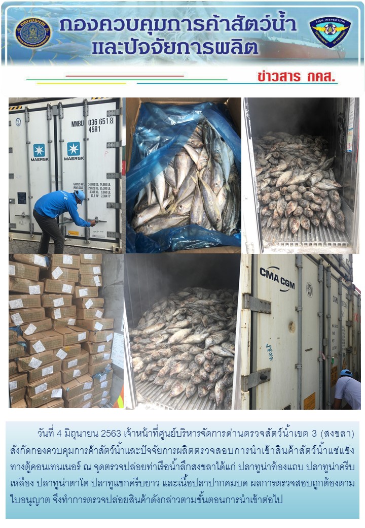เจ้าหน้าที่ศูนย์บริหารจัดการด่านตรวจสัตว์น้ำเขต 3 (สงขลา) สังกัดกองควบคุมการค้าสัตว์น้ำและปัจจัยการผลิต ตรวจสอบการนำเข้าสินค้าสัตว์น้ำประเภทตู้คอนเทนเนอร์ ณ จุดตรวจปล่อยท่าเรือน้ำลึกสงขลา..คลิก