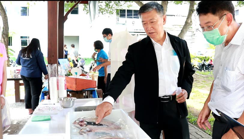 นายถาวร จิระโสภณรักษ์ รองอธิบดีกรมประมง ได้เดินสำรวจตลาด Fisheries shop พร้อมพบปะพูดคุยกับพี่น้องเกษตรกรที่นำผลิตภัณฑ์ประมงมาจำหน่ายพร้อมให้กำลังใจเกษตรกร ให้สู้และผ่านวิกฤต COVID - 19 ไปด้วยกัน..คลิก