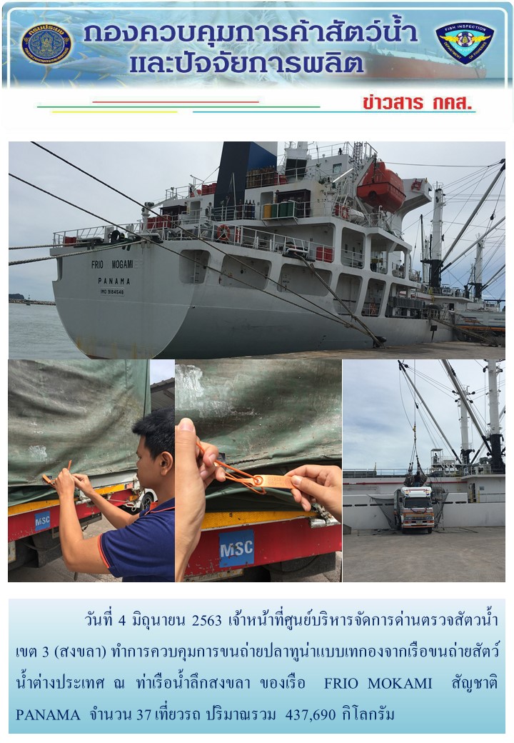 วันที่ 4 มิถุนายน 2563 เจ้าหน้าที่ศูนย์บริหารจัดการด่านตรวจสัตวน้ำ เขต 3 (สงขลา) ทำการควบคุมการขนถ่ายปลาทูน่าแบบเทกองจากเรือขนถ่ายสัตว์น้ำต่างประเทศ ณ ท่าเรือน้ำลึกสงขลา ของเรือ  FRIO MOKAMI  สัญชาติ PANAMA..คลิก